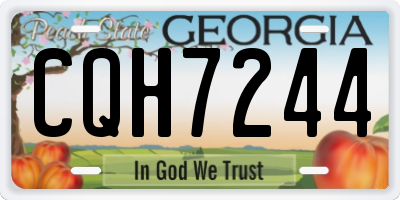 GA license plate CQH7244