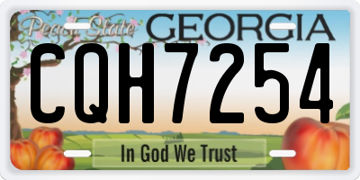 GA license plate CQH7254