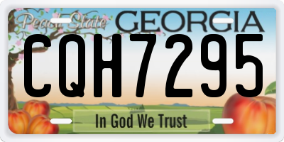 GA license plate CQH7295
