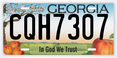GA license plate CQH7307