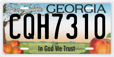 GA license plate CQH7310