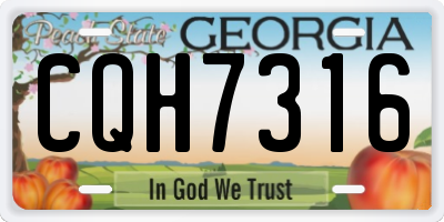 GA license plate CQH7316