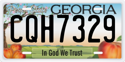 GA license plate CQH7329