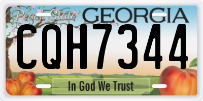 GA license plate CQH7344