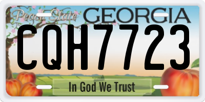 GA license plate CQH7723