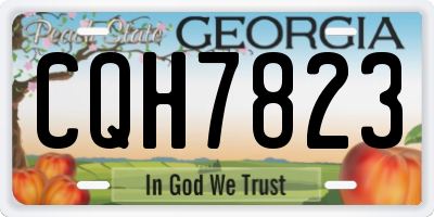 GA license plate CQH7823