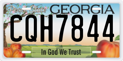 GA license plate CQH7844