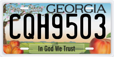 GA license plate CQH9503