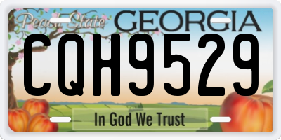GA license plate CQH9529