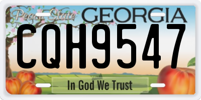 GA license plate CQH9547