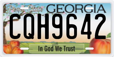 GA license plate CQH9642