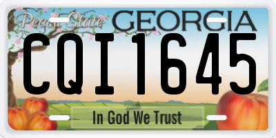 GA license plate CQI1645