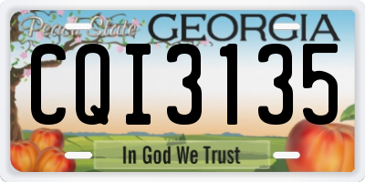 GA license plate CQI3135
