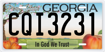 GA license plate CQI3231