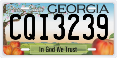 GA license plate CQI3239