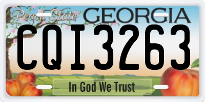 GA license plate CQI3263