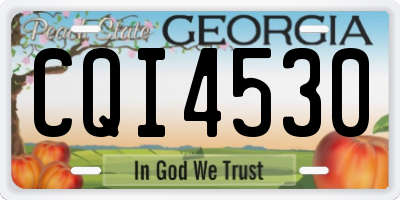 GA license plate CQI4530