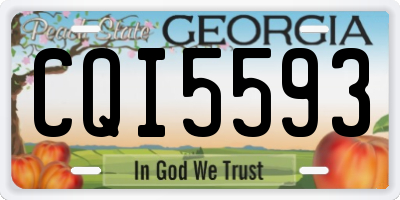 GA license plate CQI5593