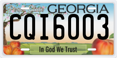 GA license plate CQI6003