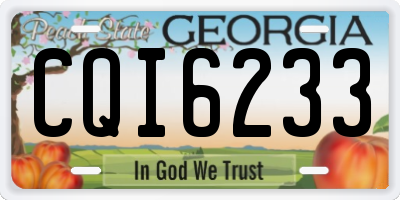 GA license plate CQI6233