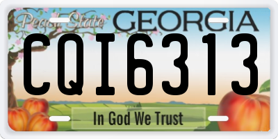 GA license plate CQI6313