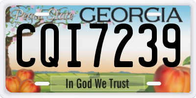 GA license plate CQI7239