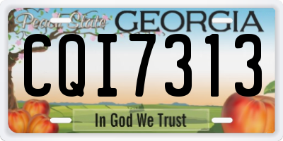 GA license plate CQI7313