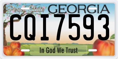 GA license plate CQI7593
