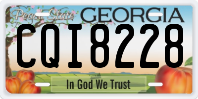 GA license plate CQI8228