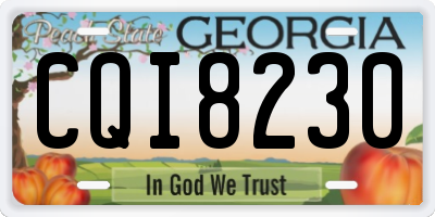 GA license plate CQI8230