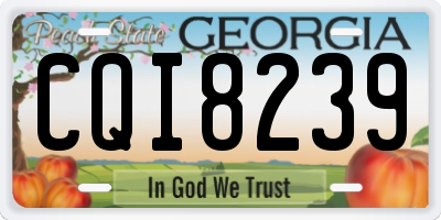 GA license plate CQI8239