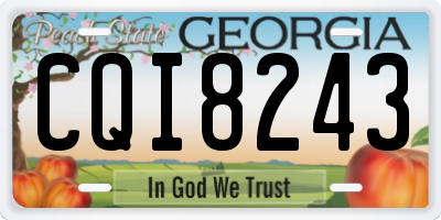 GA license plate CQI8243