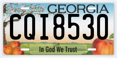 GA license plate CQI8530