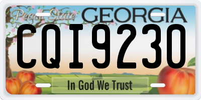 GA license plate CQI9230