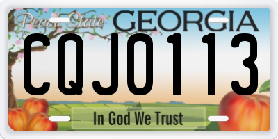 GA license plate CQJ0113