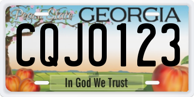 GA license plate CQJ0123