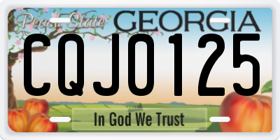 GA license plate CQJ0125