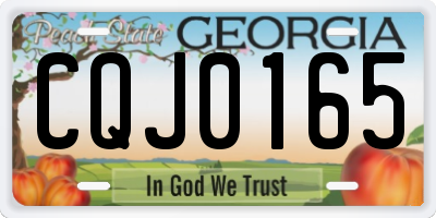 GA license plate CQJ0165