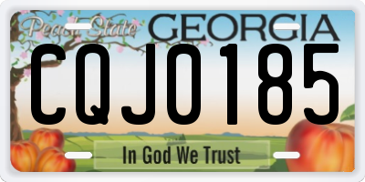 GA license plate CQJ0185