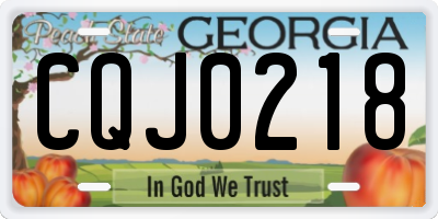 GA license plate CQJ0218