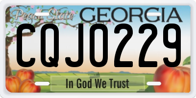 GA license plate CQJ0229