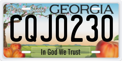 GA license plate CQJ0230