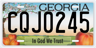 GA license plate CQJ0245