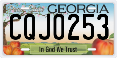GA license plate CQJ0253