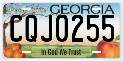 GA license plate CQJ0255