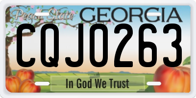 GA license plate CQJ0263