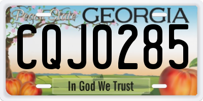 GA license plate CQJ0285