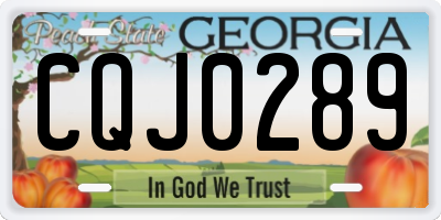 GA license plate CQJ0289