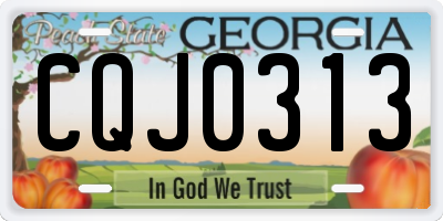 GA license plate CQJ0313