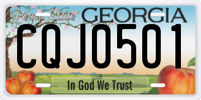GA license plate CQJ0501